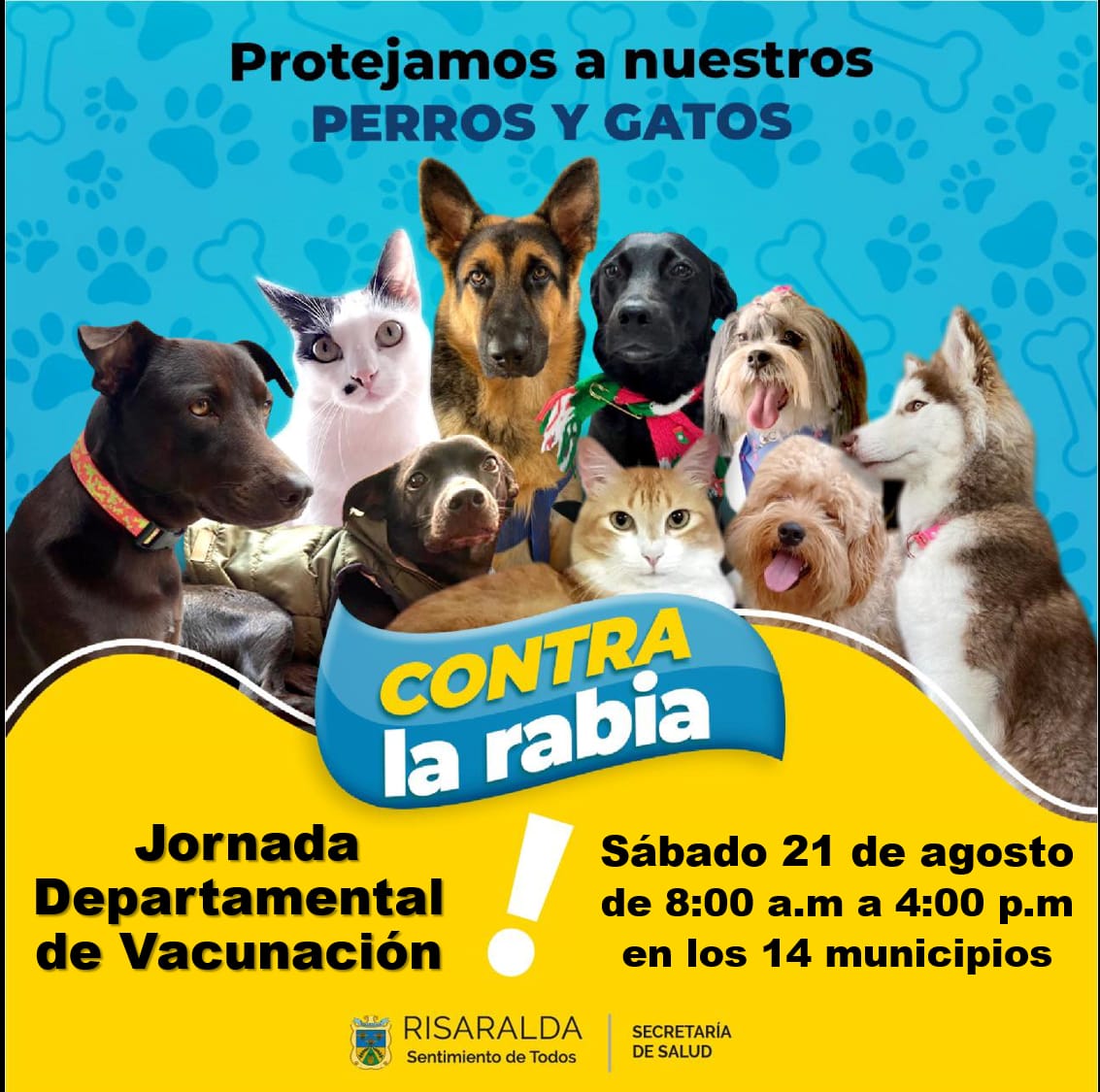 En este momento estás viendo Este sábado, jornada departamental de vacunación contra la Rabia para perros y gatos
