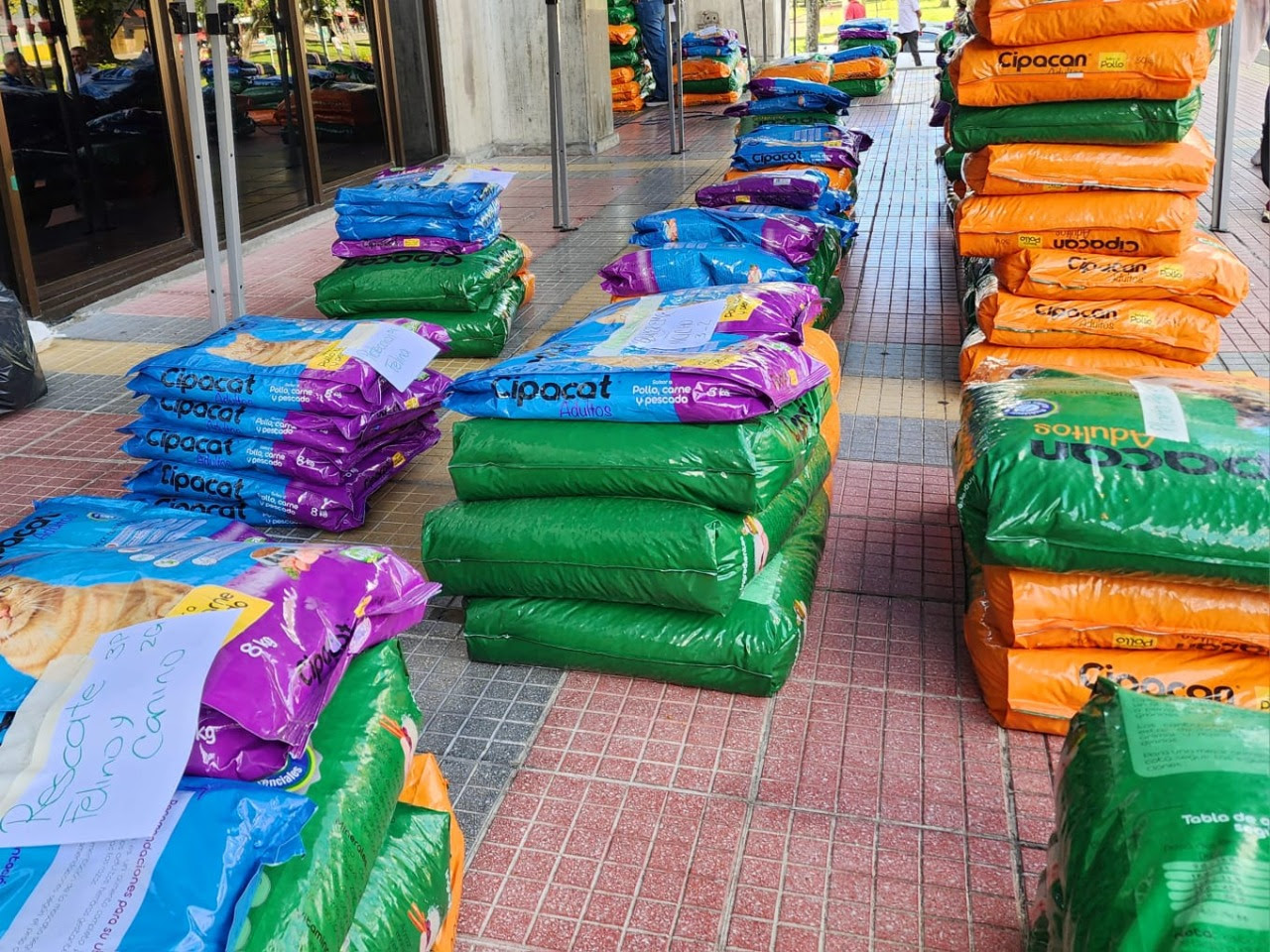 Gobernación entregó cuatro toneladas de alimento para perros y gatos vinculados a fundaciones de Risaralda